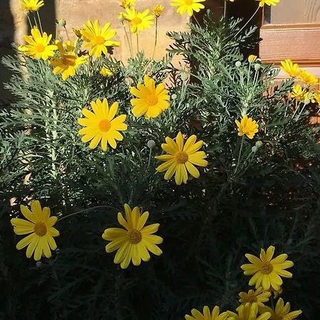 Il Sementone בית נופש