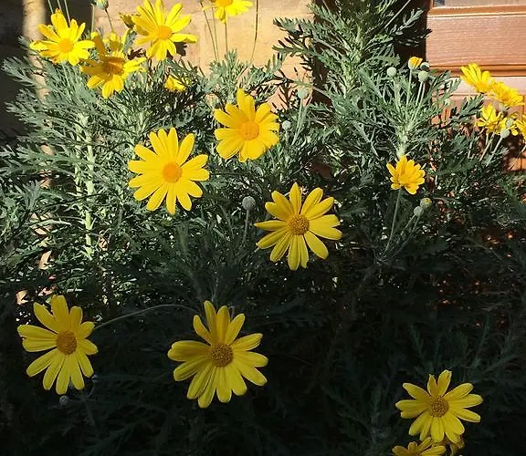 Il Sementone Casa vacanze